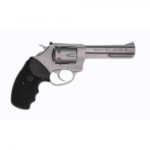 Charter Arms Target Pathfinder .22 LR 6rd Capacity 4.2" Barrel Stainless
