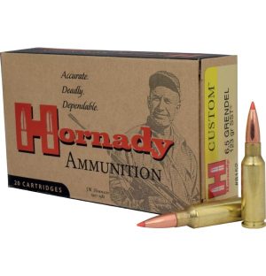 HORNADY CUSTOM 6.5 GRENDEL 123GR SST 20RD BX 200RD CASE