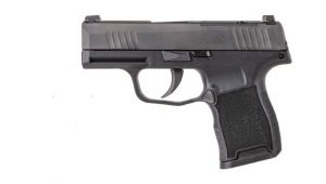 SIG SAUER P365 380ACP BLK 10+1 NS