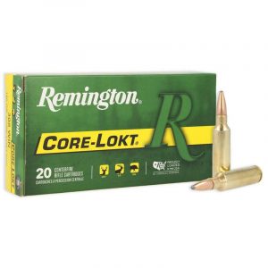 REMINGTON 300 WSM 150GR - CORE-LOKT PSP 20RD 10BX/CS